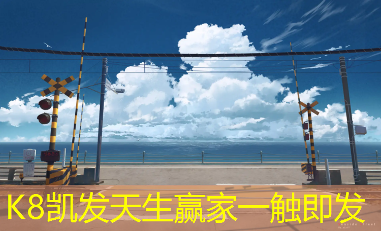 k8凯发官网入口：朝阳塑胶跑道怎么选