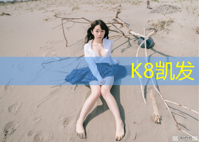 K8凯发：儿童木质游乐设施促进社交技能的方法探究。
