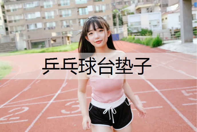 乒乓球台垫子 乒乓球台垫子